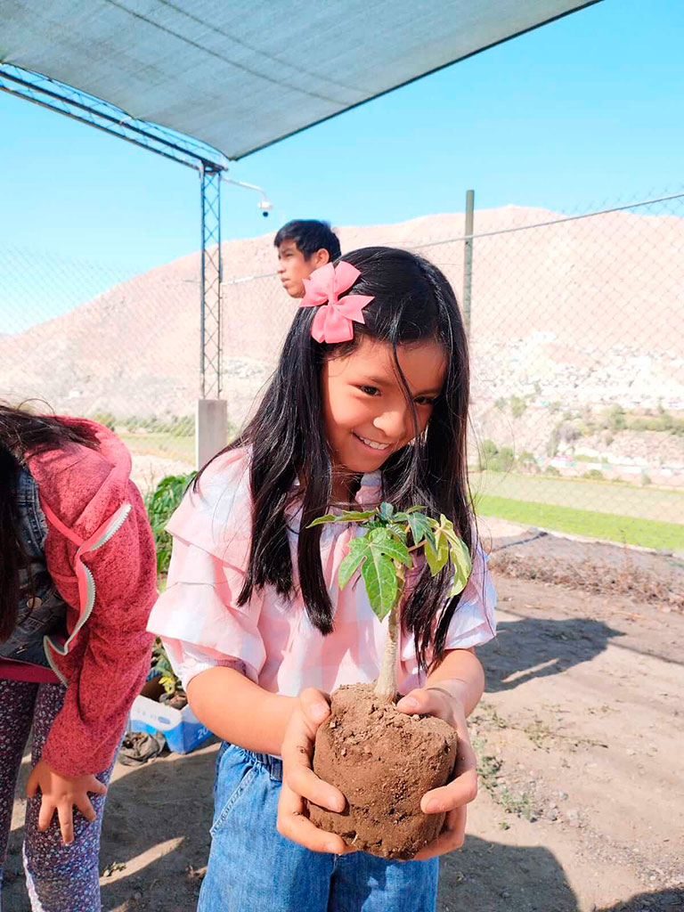 Colegio Peruano Francés Antoine De Saint Exupéry Arequipa Perú