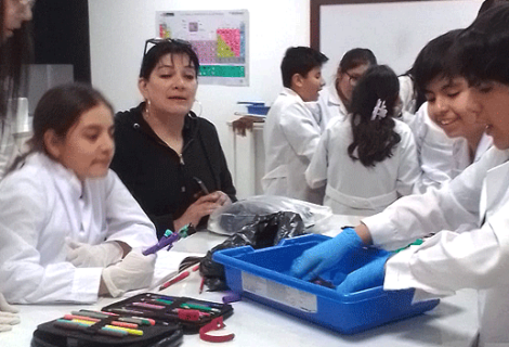 Disecciones en el laboratorio con alumnos de 5ème